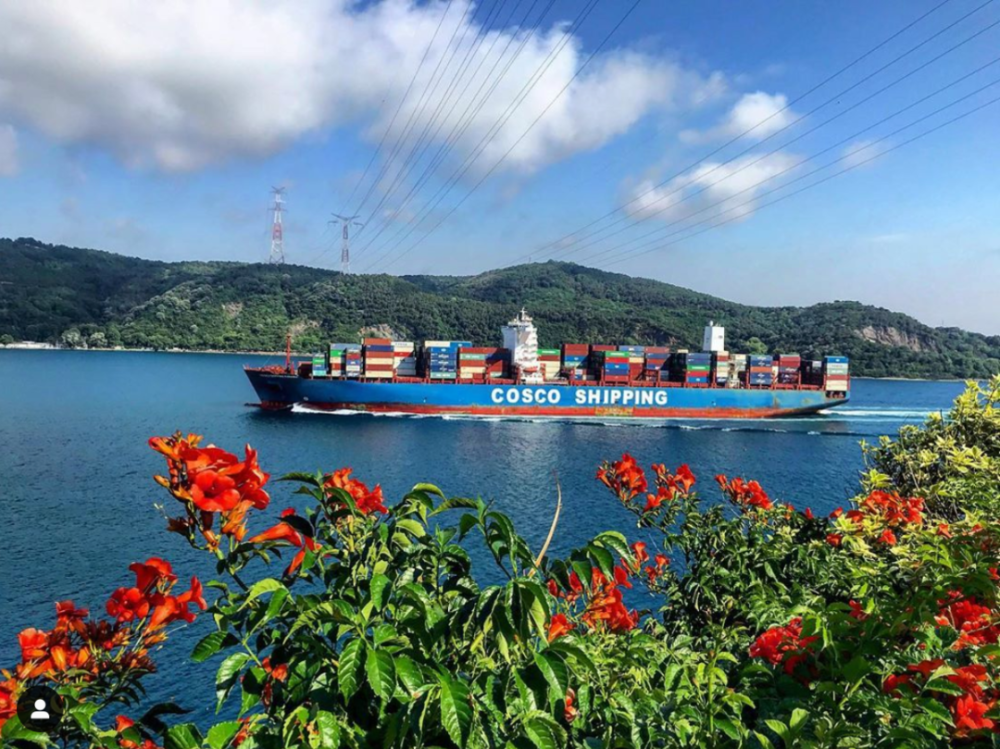 船期延误的“罪魁”之首，可能不是气象