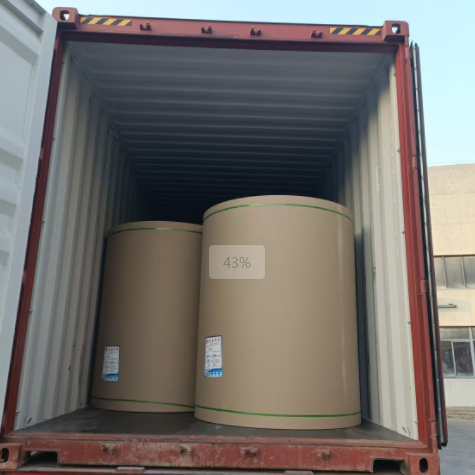 原木卷纸、纸张能够走集装箱海运吗，必要把稳什么？