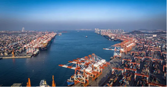 上海港内贸航路能够达到哪些城市?