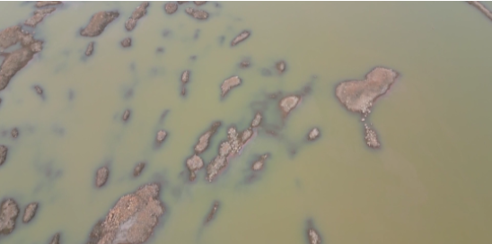 PP电子·仿照器(试玩游戏)官方网站