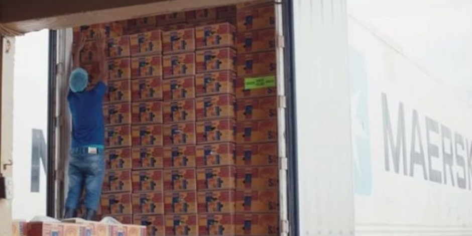 PP电子·仿照器(试玩游戏)官方网站