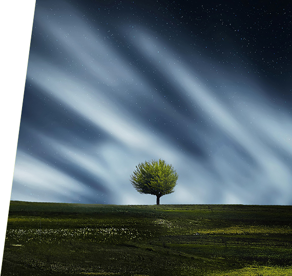 欧博ABG·[中国]官网登录入口