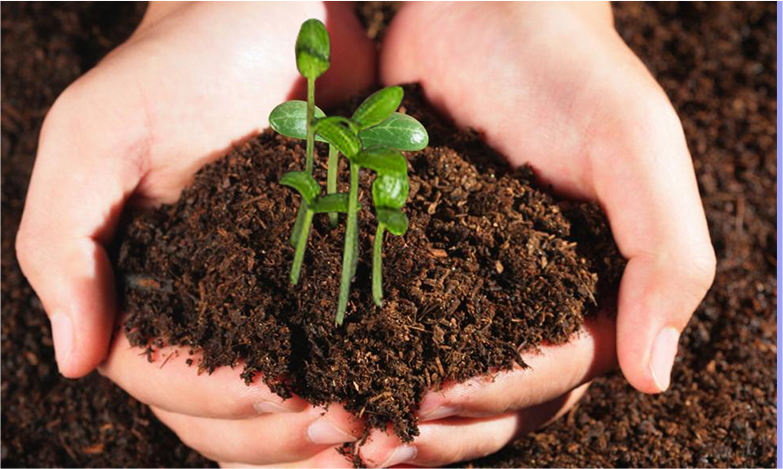 欧博ABG·[中国]官网登录入口